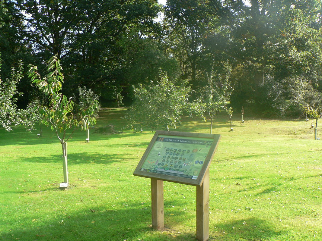 Farnham Common Community Orchard Rotary Burnham Beeches